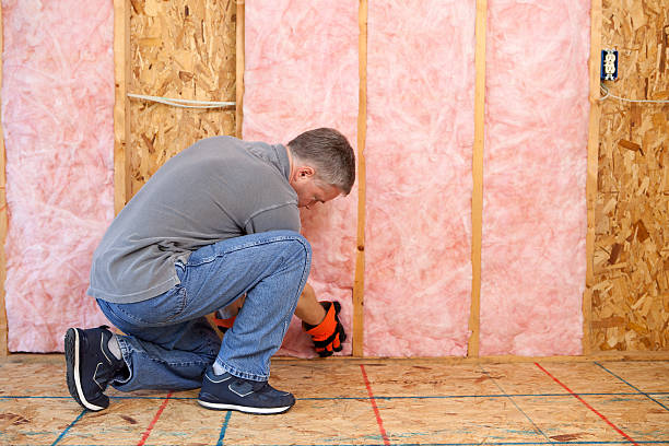 Best Residential Insulation Services  in Delafield, WI